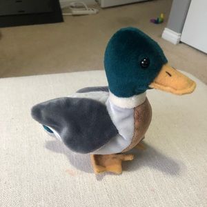 TY “ULTRA RARE” Jake Beanie Baby NEW MWMT